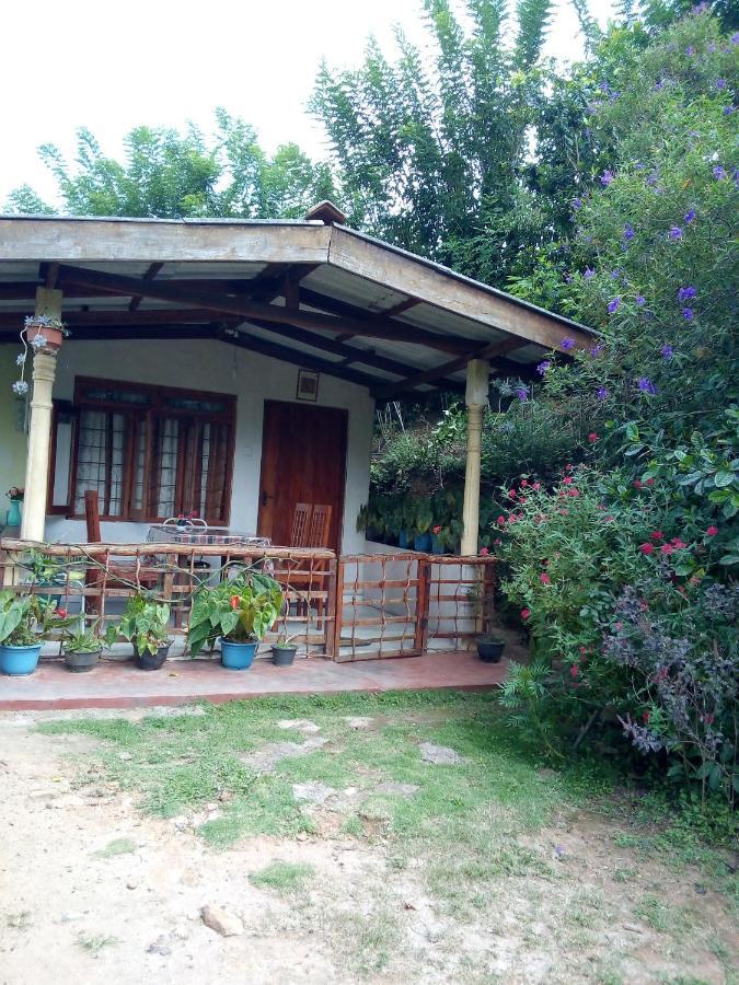 Ella J Villa Dış mekan fotoğraf