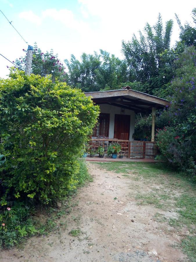 Ella J Villa Dış mekan fotoğraf